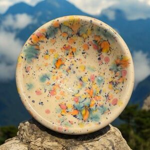 Colorful Dog/Cat bowl